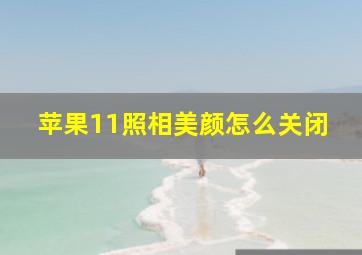 苹果11照相美颜怎么关闭