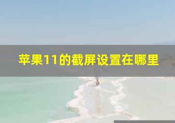 苹果11的截屏设置在哪里