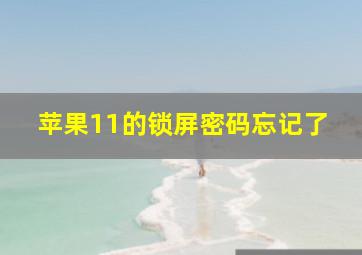 苹果11的锁屏密码忘记了