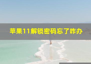 苹果11解锁密码忘了咋办