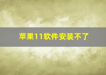 苹果11软件安装不了