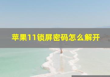 苹果11锁屏密码怎么解开