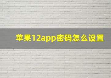 苹果12app密码怎么设置