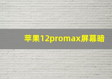 苹果12promax屏幕暗