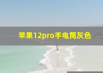 苹果12pro手电筒灰色