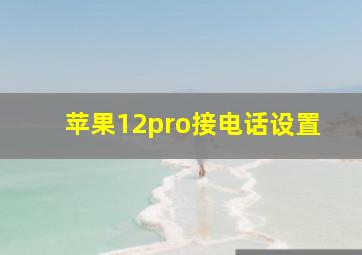 苹果12pro接电话设置