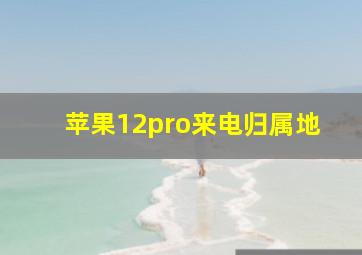 苹果12pro来电归属地