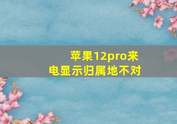 苹果12pro来电显示归属地不对