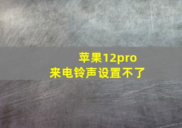 苹果12pro来电铃声设置不了