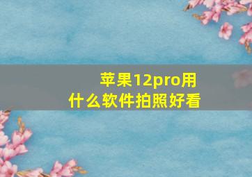 苹果12pro用什么软件拍照好看