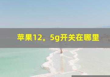 苹果12。5g开关在哪里