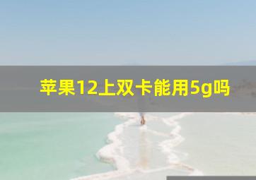 苹果12上双卡能用5g吗