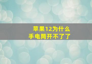 苹果12为什么手电筒开不了了