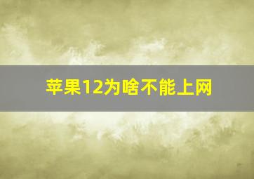 苹果12为啥不能上网