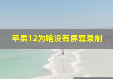 苹果12为啥没有屏幕录制