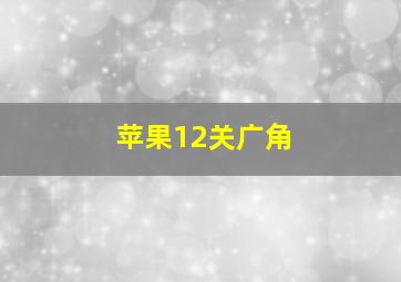 苹果12关广角