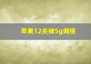 苹果12关掉5g网络