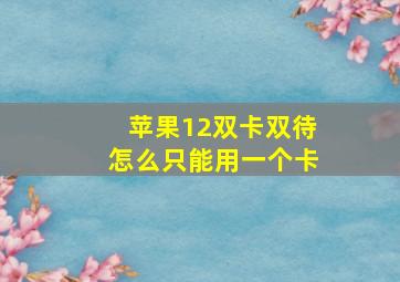 苹果12双卡双待怎么只能用一个卡