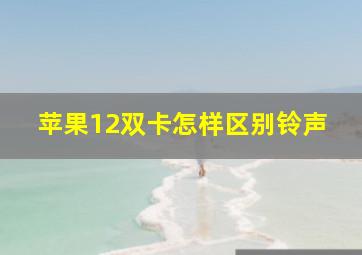 苹果12双卡怎样区别铃声