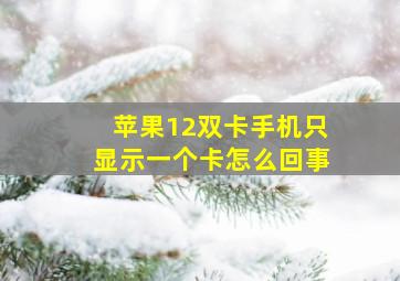 苹果12双卡手机只显示一个卡怎么回事