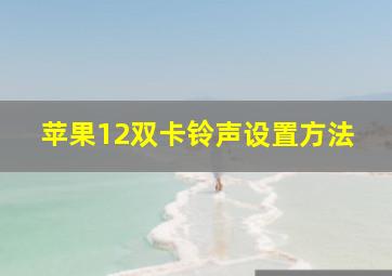 苹果12双卡铃声设置方法