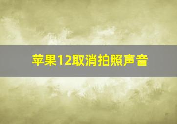 苹果12取消拍照声音