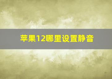 苹果12哪里设置静音