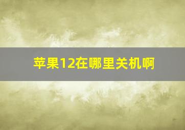 苹果12在哪里关机啊