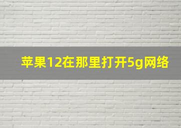 苹果12在那里打开5g网络