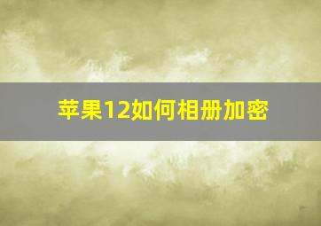 苹果12如何相册加密