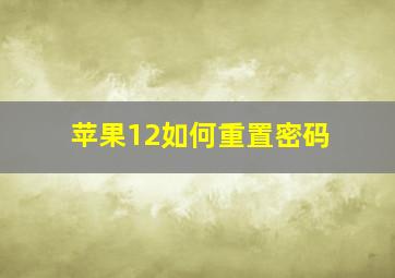 苹果12如何重置密码