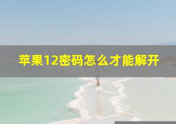 苹果12密码怎么才能解开