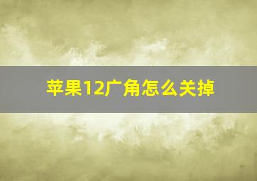 苹果12广角怎么关掉