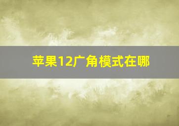 苹果12广角模式在哪