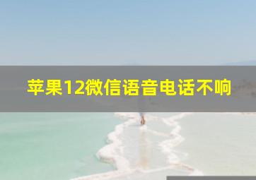 苹果12微信语音电话不响