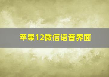 苹果12微信语音界面