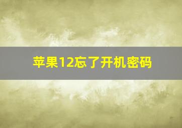 苹果12忘了开机密码