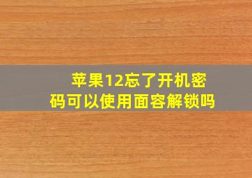 苹果12忘了开机密码可以使用面容解锁吗