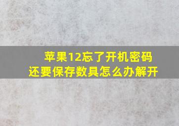 苹果12忘了开机密码还要保存数具怎么办解开