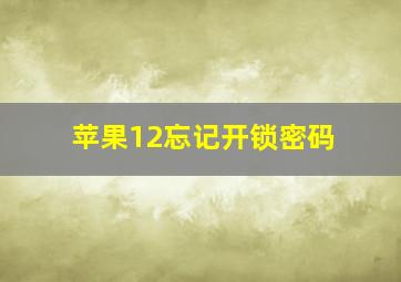 苹果12忘记开锁密码