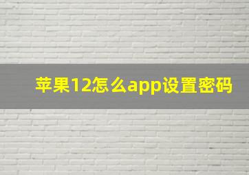 苹果12怎么app设置密码