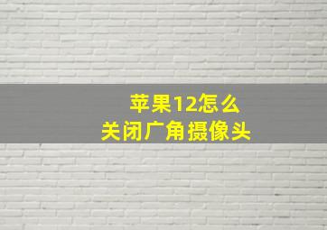 苹果12怎么关闭广角摄像头