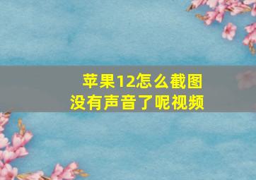 苹果12怎么截图没有声音了呢视频