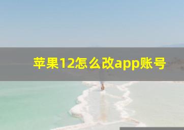 苹果12怎么改app账号