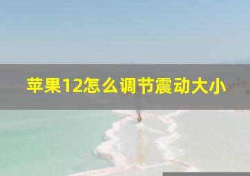 苹果12怎么调节震动大小