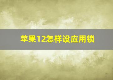 苹果12怎样设应用锁