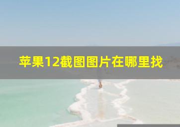 苹果12截图图片在哪里找