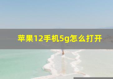 苹果12手机5g怎么打开