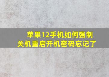 苹果12手机如何强制关机重启开机密码忘记了