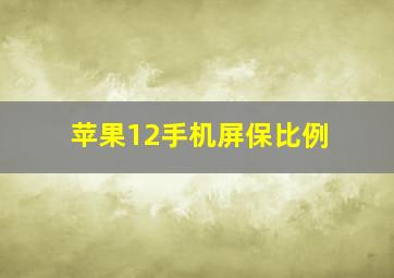 苹果12手机屏保比例